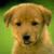 537.gif