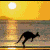 1358.gif