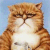 1797.gif