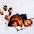 508.gif