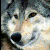 894.gif